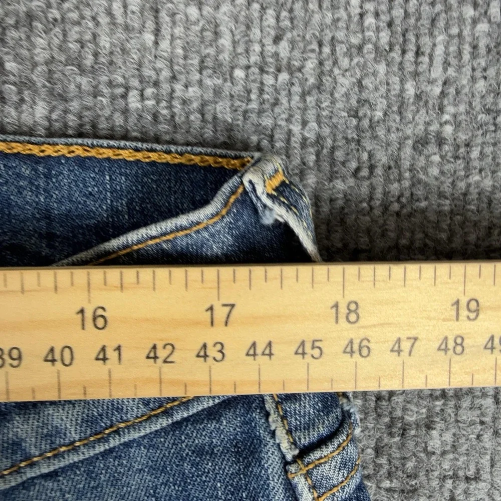 Levis levis 559
